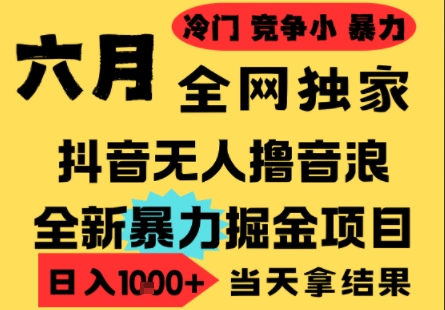 25年6月高爆抖音无人直播最新撸音浪掘金项目，小白可做，无脑日入1k+，门槛低可批量矩阵【揭秘】 - 宏盛创业网-宏盛创业网