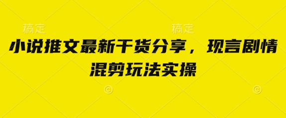 小说推文最新干货分享，现言剧情混剪玩法实操 - 宏盛创业网-宏盛创业网