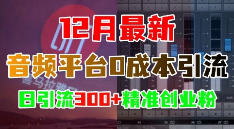 12月最新：音频平台0成本引流，日引流300+精准创业粉 - 宏盛创业网-宏盛创业网