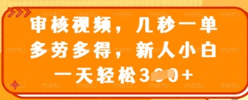 审核视频，几秒一单，多劳多得，新人小白一天轻松3张【揭秘】 - 宏盛创业网-宏盛创业网