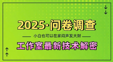 2025问卷调查最新工作室技术解密：一个人在家也可以闷声发大财，小白一天2张，可矩阵放大【揭秘】 - 宏盛创业网-宏盛创业网