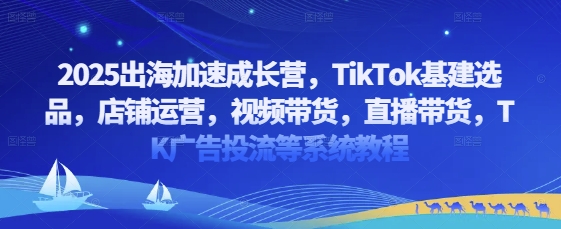 2025出海加速成长营，TikTok基建选品，店铺运营，视频带货，直播带货，TK广告投流等系统教程 - 宏盛创业网-宏盛创业网