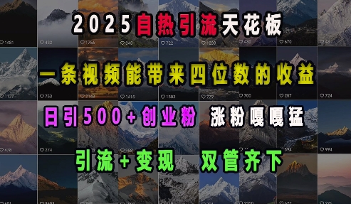 2025自热引流天花板，一条视频能带来四位数的收益，引流+变现双管齐下，日引500+创业粉，涨粉嘎嘎猛 - 宏盛创业网-宏盛创业网