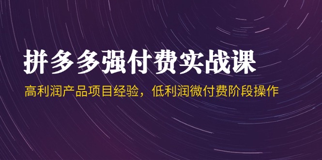 拼多多强付费实战课-44期，高利润产品项目经验，低利润微付费阶段操作 - 宏盛创业网-宏盛创业网