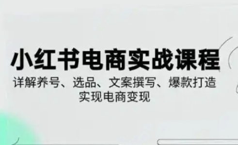 小红书从0-1实操课(2023-2025)，详解养号、选品、文案撰写、爆款打造实现电商变现 - 宏盛创业网-宏盛创业网