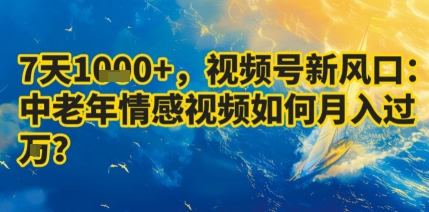 7天收益1k+，视频号新风口：中老年情感视频如何月入过W? - 宏盛创业网-宏盛创业网