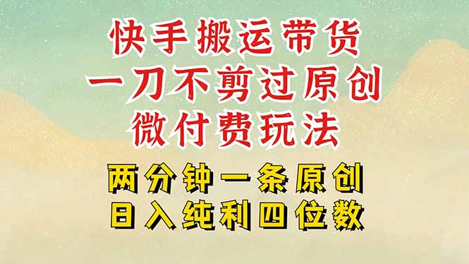 快手黑科技搬运带货，一刀不剪过原创，微付费投流玩法，轻松日入四位数... - 宏盛创业网-宏盛创业网
