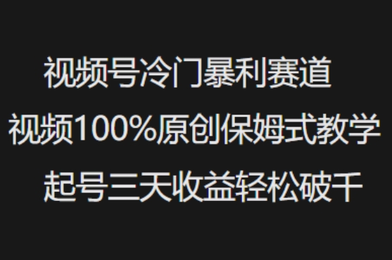 视频号冷门暴利赛道视频100%原创保姆式教学起号三天收益轻松破千 - 宏盛创业网-宏盛创业网