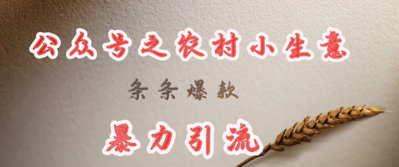 deepseek写农村小项目，条条爆款，暴力引流 - 宏盛创业网-宏盛创业网