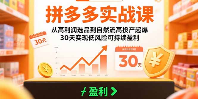 拼多多实战课：从高利润选品到自然流高投产起爆 30天实现低风险可持续盈利 - 宏盛创业网-宏盛创业网