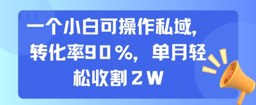 一个小白可操作私域，转化率90%，单月轻松收割2W - 宏盛创业网-宏盛创业网