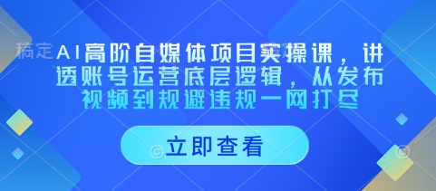 AI高阶自媒体项目实操课，讲透账号运营底层逻辑，从发布视频到规避违规一网打尽 - 宏盛创业网-宏盛创业网