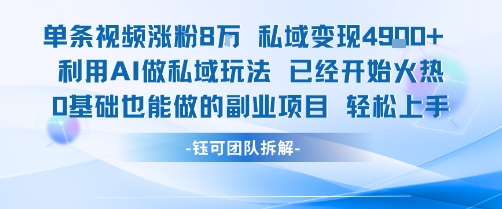 单条视频私域变现4.9k+利用AI做私域玩法 已经开始火热0基础也能做的副业项目轻松上手 - 宏盛创业网-宏盛创业网