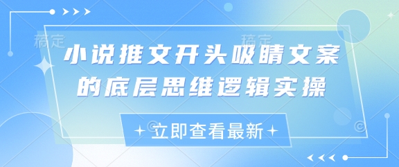 小说推文开头吸睛文案的底层思维逻辑实操 - 宏盛创业网-宏盛创业网