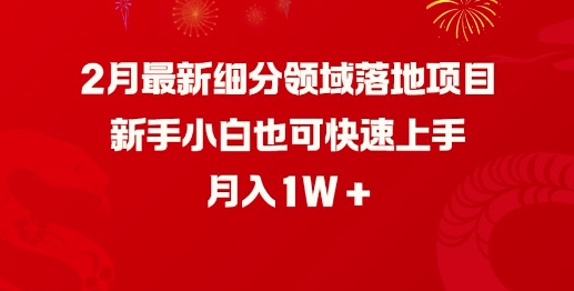 2月最新细分领域落地项目，新手小白也可快速上手，月入1W - 宏盛创业网-宏盛创业网