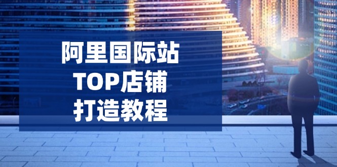 阿里国际站TOP店铺打造教程：涵盖平台到高阶，解决运营难题，提升询盘 - 宏盛创业网-宏盛创业网