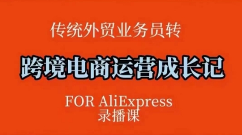 跨境电商速卖通运营课，​运营方法论+后台实操，逻辑清晰 - 宏盛创业网-宏盛创业网