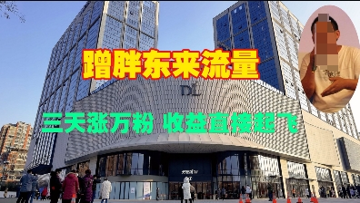 蹭胖东来流量，三天涨万粉，收益直接起飞 - 宏盛创业网-宏盛创业网