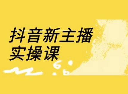 抖音新主播实操课，直播间流量运营线上实操课(18节) - 宏盛创业网-宏盛创业网
