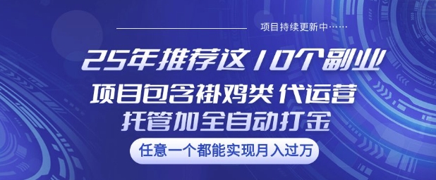 25年推荐这10个副业项目包含褂鸡类、代运营托管类、全自动打金类【揭秘】 - 宏盛创业网-宏盛创业网