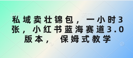 私域卖壮锦包，一小时3张，小红书蓝海赛道3.0版本， 保姆式教学 - 宏盛创业网-宏盛创业网