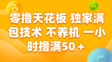 零撸天花板，独家满包技术 不养机 一小时撸满50+【揭秘】 - 宏盛创业网-宏盛创业网