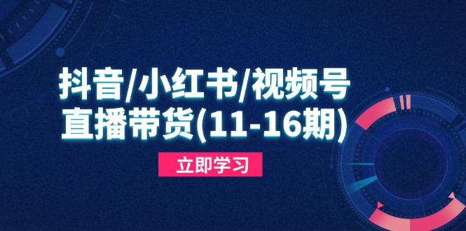 抖音/小红书/视频号/直播带货(11-16期 - 宏盛创业网-宏盛创业网