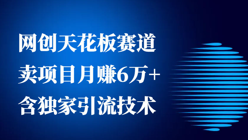 网创天花板赛道，卖项目月赚6万+，含独家引流技术(共26节课) - 宏盛创业网-宏盛创业网
