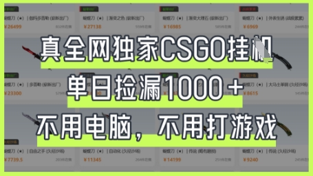 真全网独家CSGO挂G，单日捡漏1k+【揭秘】 - 宏盛创业网-宏盛创业网