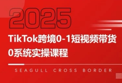 大亿老师·TikTok跨境0-1短视频带货 - 宏盛创业网-宏盛创业网