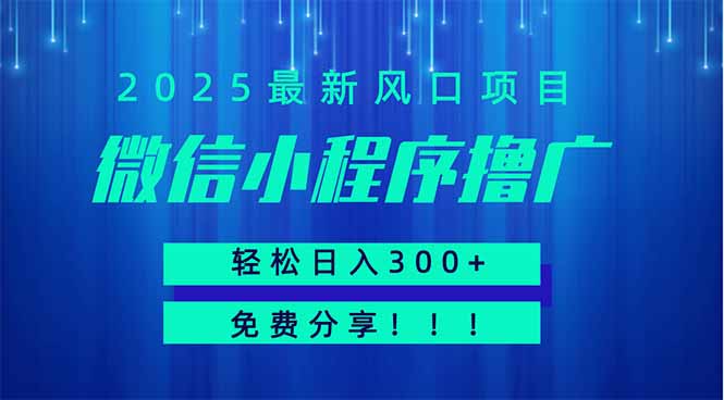 微信小程序撸广，最新风口项目，日入300+ 免费分享 可批量操作 小白可... - 宏盛创业网-宏盛创业网
