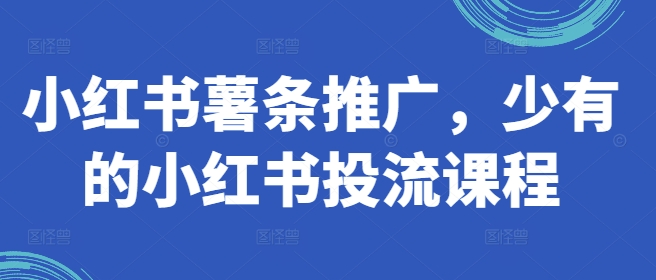 小红书薯条推广，少有的小红书投流课程 - 宏盛创业网-宏盛创业网