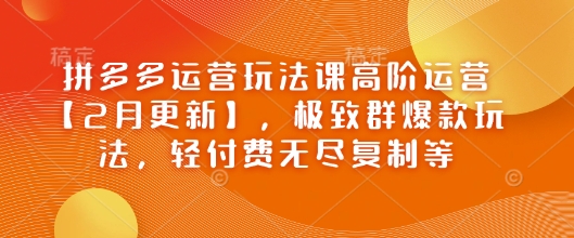 拼多多运营玩法课高阶运营【2月更新】，极致群爆款玩法，轻付费无尽复制等 - 宏盛创业网-宏盛创业网