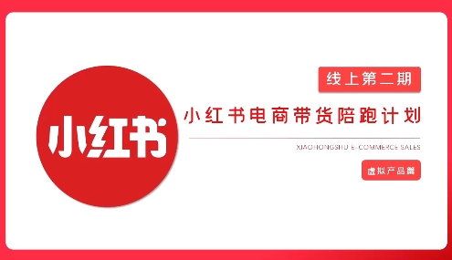 2025小红书虚拟电商实战课 - 宏盛创业网-宏盛创业网