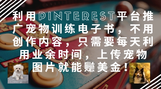 利用Pinterest平台推广宠物训练电子书，不用创作内容，只需要每天利用业余时间，上传宠物图片就能挣美金! - 宏盛创业网-宏盛创业网