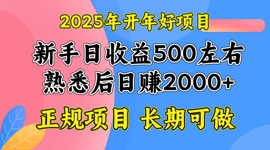 2025开年好项目，单号日收益2000左右 - 宏盛创业网-宏盛创业网