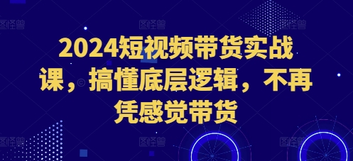 2024短视频带货实战课，搞懂底层逻辑，不再凭感觉带货 - 宏盛创业网-宏盛创业网