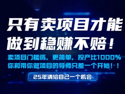 只有卖项目才能做到稳挣不赔，门槛低，更简单，你也可以年入百个W【揭秘】 - 宏盛创业网-宏盛创业网