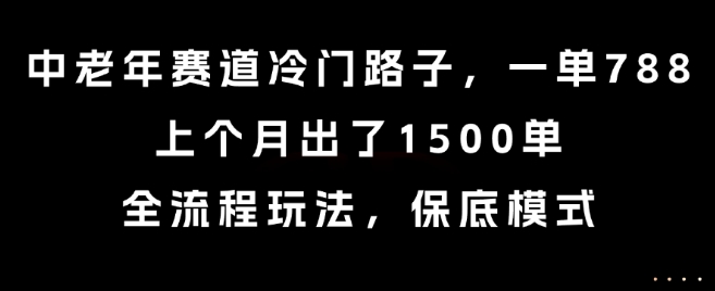 中老年赛道冷门路子，一单788，上个月出了1500单，全流程玩法，保底模式【揭秘】 - 宏盛创业网-宏盛创业网