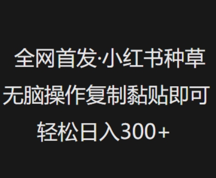 全网首发，小红书种草无脑操作，复制黏贴即可，轻松日入3张 - 宏盛创业网-宏盛创业网