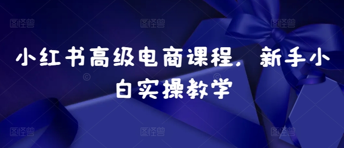 小红书高级电商课程，新手小白实操教学 - 宏盛创业网-宏盛创业网