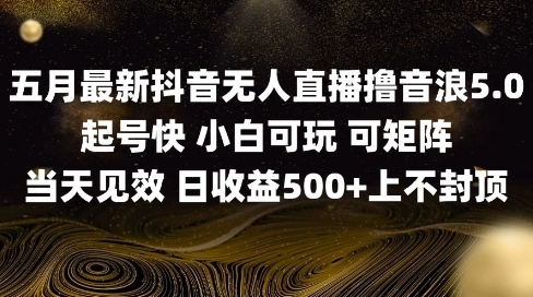 2025五月最新无人直播撸音浪单日产出5张+实操教程【揭秘】 - 宏盛创业网-宏盛创业网