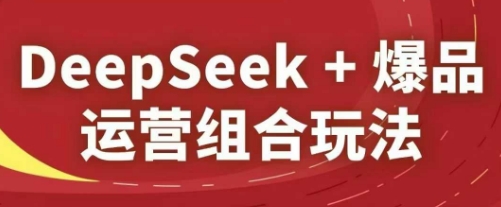 DeepSeek+爆品运营组合玩法，2025淘系精品课 - 宏盛创业网-宏盛创业网