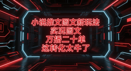 小说推文图文新玩法，实况图文，万播二十单，这转化太牛了！ - 宏盛创业网-宏盛创业网