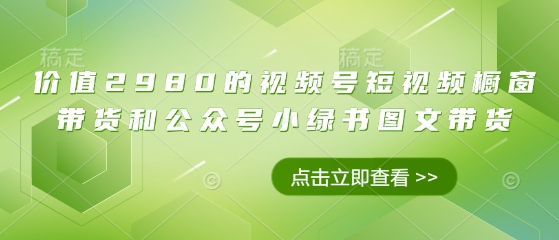 价值2980的视频号短视频橱窗带货和公众号小绿书图文带货 - 宏盛创业网-宏盛创业网