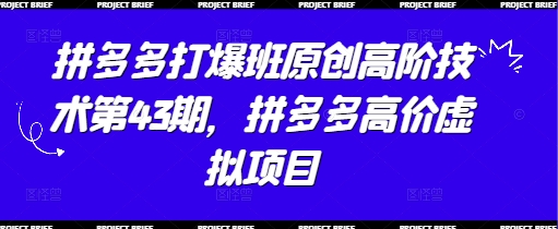 拼多多打爆班原创高阶技术第43期，拼多多高价虚拟项目 - 宏盛创业网-宏盛创业网