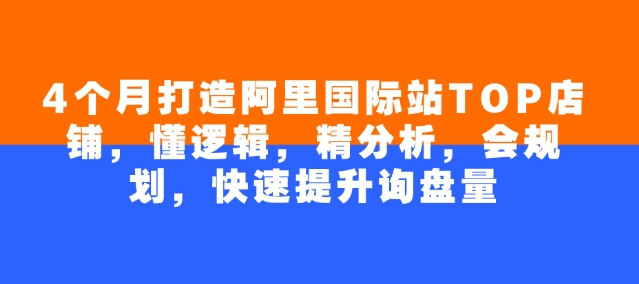 4个月打造阿里国际站TOP店铺，懂逻辑，精分析，会规划，快速提升询盘量 - 宏盛创业网-宏盛创业网