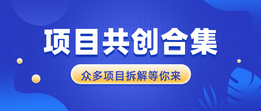 项目共创合集，从0-1全过程拆解，让你迅速找到适合自已的项目 - 宏盛创业网-宏盛创业网