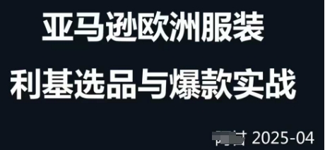跨境电商选品案例24-25年，聚焦跨境电商选品策略与运营优化，助力卖家挖掘蓝海市场 - 宏盛创业网-宏盛创业网