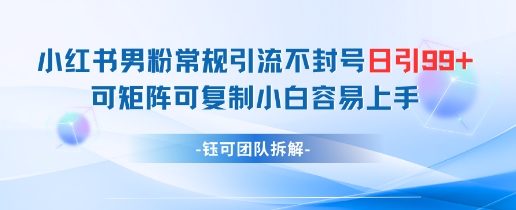 小红书男粉常规引流不封号日引99+变现简单 可矩阵可复制小白容易上手 - 宏盛创业网-宏盛创业网